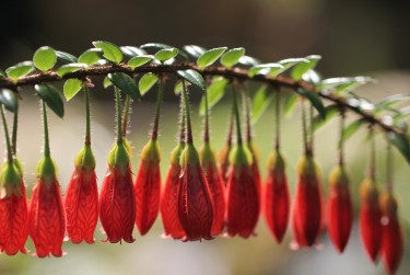 肇庆端州区3私人快速借钱网，轻松解决资金难题