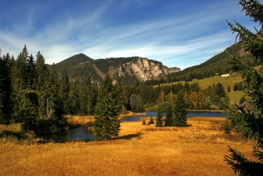 肇庆端州区3民间私贷攻略：揭秘低成本借贷的秘密