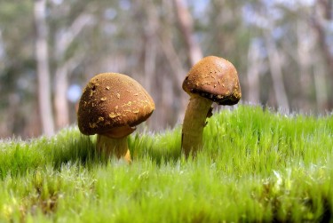 肇庆端州区3私人老板放款：轻松融资的秘密通道